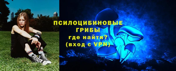 ПСИЛОЦИБИНОВЫЕ ГРИБЫ Белокуриха