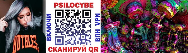 купить  сайты  Вельск  Псилоцибиновые грибы мицелий 